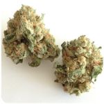 Шишки "White Widow"  (Белая вдова)  Гидропоника -  Бошка VHQ в Ржеве