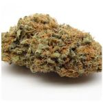 Шишки AK47 (Гидропоника, Бошка) VHQ в Ржеве Шишки AK47 (Гидропоника, Бошка) VHQ в Ржеве